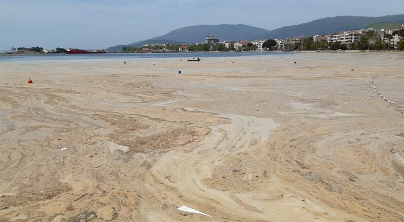 Hidrobiyolog Levent Artüz uyardı: Marmara Denizi vahim durumda, iş müsilajı aşmış durumda; canlı çeşitliliği 'yok' sözü ile anlatılabilir