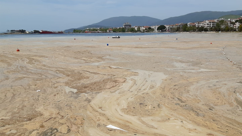 Hidrobiyolog Levent Artüz uyardı: Marmara Denizi vahim durumda, iş müsilajı aşmış durumda; canlı çeşitliliği 'yok' sözü ile anlatılabilir
