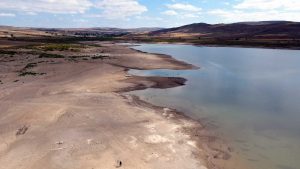 Sarıoğlan Barajı'nda su düzeyi yüzde 20'ye düştü; balık vefatları başladı