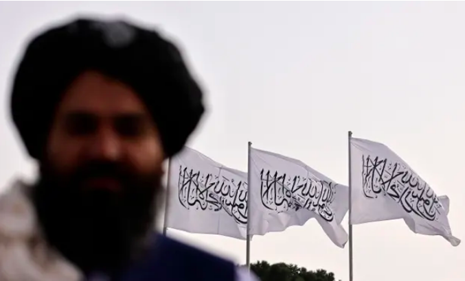 Taliban militanları, Afganistan'da direniş önderinin kardeşini öldürdü Taliban militanları, Afganistan'da direniş önderinin kardeşini öldürdü
