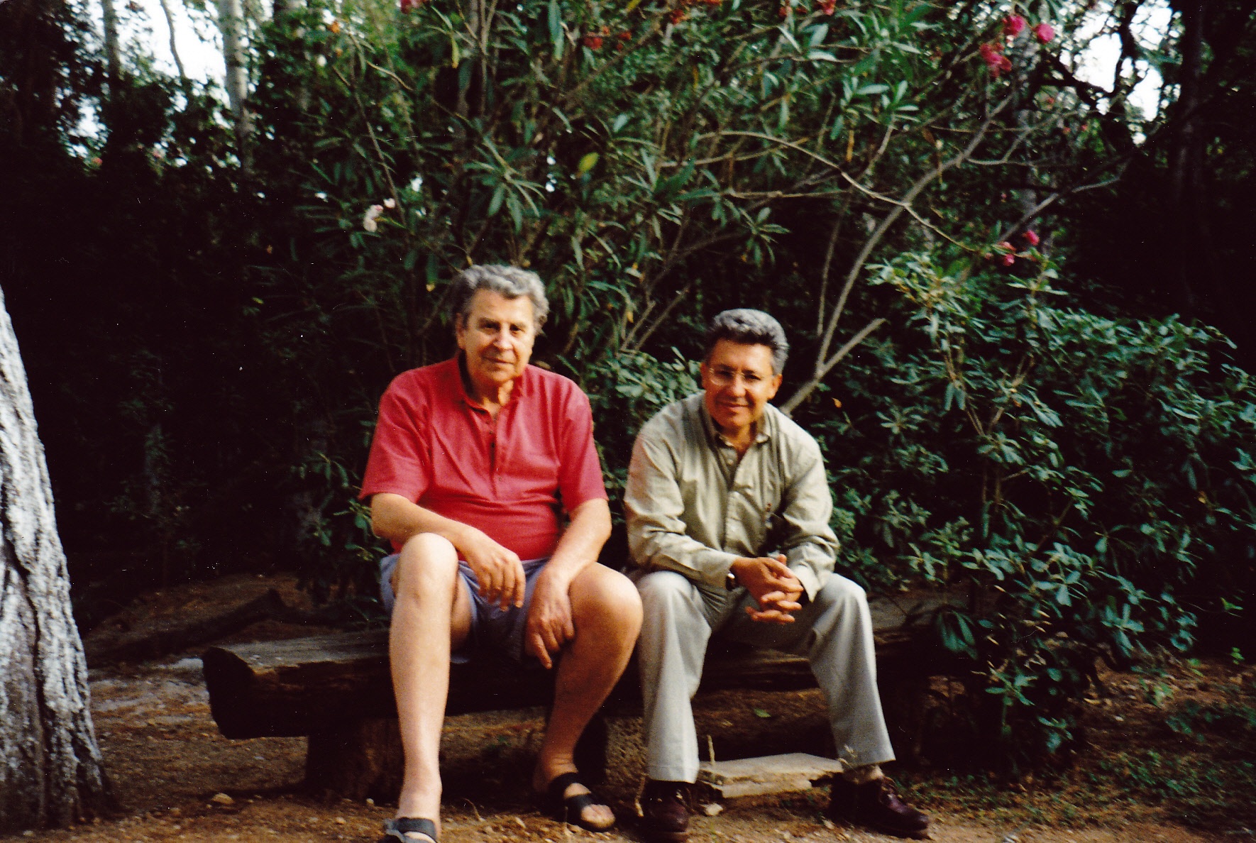 Zülfü Livaneli, hayatını kaybeden Yunan bestekar Mikis Theodorakis'i andı: En büyük dostlarımdan birini kaybettim Zülfü Livaneli, hayatını kaybeden Yunan bestekar Mikis Theodorakis'i andı: En büyük dostlarımdan birini kaybettim