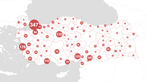 10 yılın bayan cinayetleri haritası; en az 2 bin 534 bayan öldürüldü