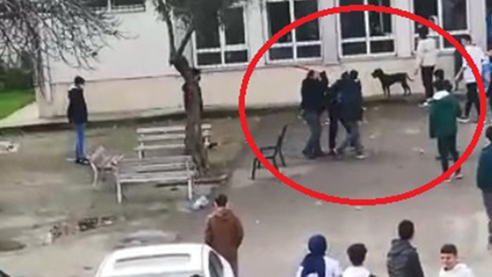 5 öğrencinin yaralandığı lisenin Okul Aile Birliği Lideri: Biraz köpeği kışkırttılar, üzerine su attılar, bir öğrencimiz kemerini çıkarıp hayvanın boğazını sıkmış tutup dışarı atmak için 5 öğrencinin yaralandığı lisenin Okul Aile Birliği Lideri: Biraz köpeği kışkırttılar, üzerine su attılar, bir öğrencimiz kemerini çıkarıp hayvanın boğazını sıkmış tutup dışarı atmak için