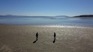 Anadolu Su Altı Araştırmaları ve Sporları Derneği: Van Gölü acil durum alarmı veriyor