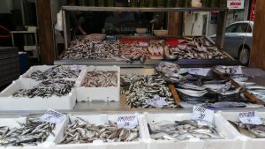 Balıkçılar: Balık dönemi açılalı bir ay oldu fakat beklenilen olmadı; fiyatlar şu anda değerli fakat vakitle düşecektir diye umut ediyoruz