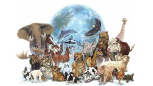Bugün 4 Ekim Dünya Hayvanları Muhafaza Günü