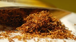 DSÖ: Dünyada tütün kullanan nüfusun 2025'te 1,27 milyara inmesi bekleniyor