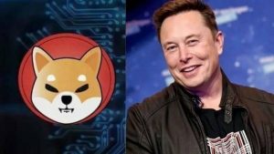 Elon Musk fotoğrafını paylaşmıştı, kripto para ünitesi Shiba Inu rekor kırdı