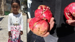 En son nar yemişti; 4 yaşındaki Saliha’yı tarım ilacı öldürmüş