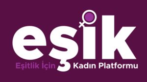 EŞİK, milletvekillerini toplumsal cinsiyet eşitliğini savunma üzerinden puanladı: AKP ve MHP 45 üzerinden ortalama 1 puanın altında kaldı