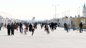 HDP: Muz yeme mazeretiyle göçmenleri hudut dışı etmek cürümdür