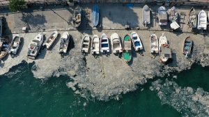 Hidrobiyolog Artüz: Marmara Denizi'ndeki tıp çeşitliliği 250'den 21'e indi
