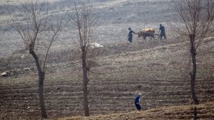 Kuzey Kore’de 'birçok insan kış aylarında açlıktan ölebilir'