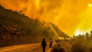 Manavgat'taki orman yangınını çıkardıkları tez edilen iki çocuğa 10'ar yıl mahpus istemi