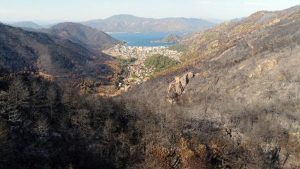 Muğla Orman Bölge Müdürü: 15 günlük yangınlarda 52 bin hektar alan ziyan gördü