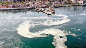 Prof. Dr. Mustafa Sarı'dan müsilaj uyarısı: Marmara'daki üzere bir aksiyon planını Karadeniz, Ege ve Akdeniz için de yapmamız lazım