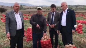Soğan üreticisinden iktidara reaksiyon: AK Parti’ye de kaç kez oy verdim; satılmıyor bu soğanlar, bunları ne yapacağız?