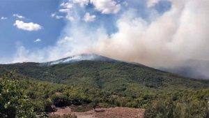 Tunceli'de örtü yangını: 2 helikopter müdahale ediyor