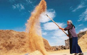 TYAB İdare Şurası Lideri Güler: Bayan çiftçilerimize dayanak vermeli ve onları üretimde teşvik etmeliyiz