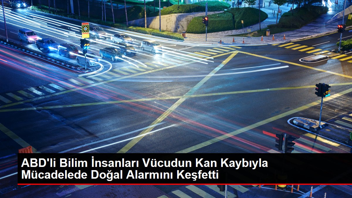 ABD'li Bilim İnsanları Bedenin Kan Kaybıyla Gayrette Doğal Alarmını Keşfetti ABD'li Bilim İnsanları Bedenin Kan Kaybıyla Gayrette Doğal Alarmını Keşfetti