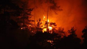 ABD’nin Colorado eyaletinde orman yangını nedeniyle 19 bin kişi tahliye edildi