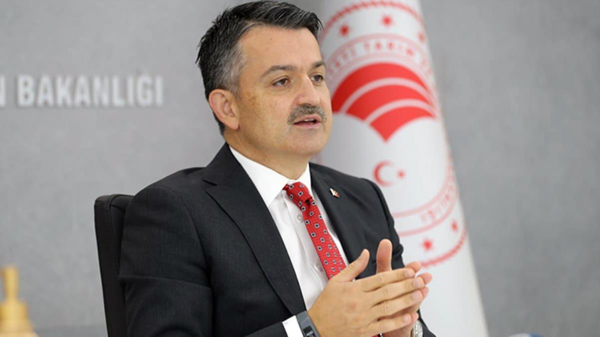 AK Partili Şamil Tayyar'dan istifa eden Bekir Pakdemirli'ye zehir zemberek kelamlar: Kibrinden kurtulmasını niyaz ederim