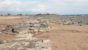 Antalya'da kıyılarda deniz suyu çekildi: Hava düzelince olağana dönecek