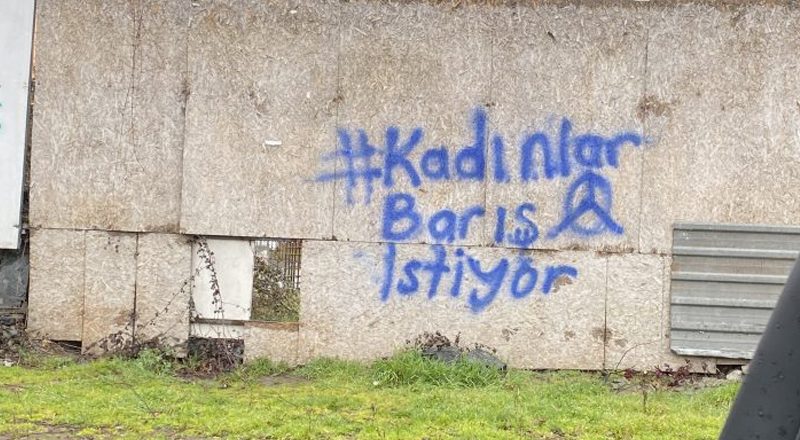 Bir Aktivistin Gözünden: Bayanlar barış istiyor