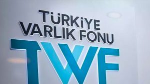 CHP'den kanun teklifi: Türkiye Varlık Fonu, Sayıştay kontrolüne açılsın