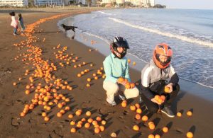 Mersin'de kıyı portakal doldu