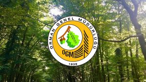 Orman Genel Müdürlüğü: Türkiye'nin orman varlığı bir yılda 177 bin hektar arttı