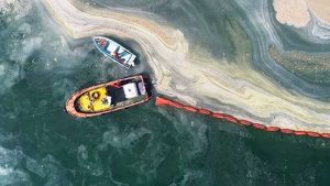 Prof. Dr. Melek İşinibilir Okyar: Marmara Denizi'nde şu an müsilaj var; yavaş yavaş azalarak bitecek