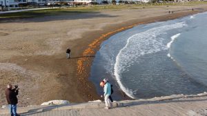 Rus turistler gördüklerine inanamadı: Denize dökülen portakallar dalgaların tesiriyle kumsalı kapladı