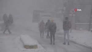 Tatvan'da kar yağışı... 35 köy yolu ulaşıma kapanırken okullar ise tatil edildi