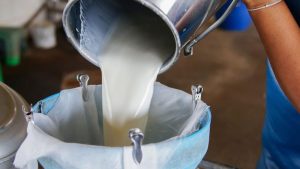 Üreticiler, çiğ sütün satış fiyatında artış talep etti