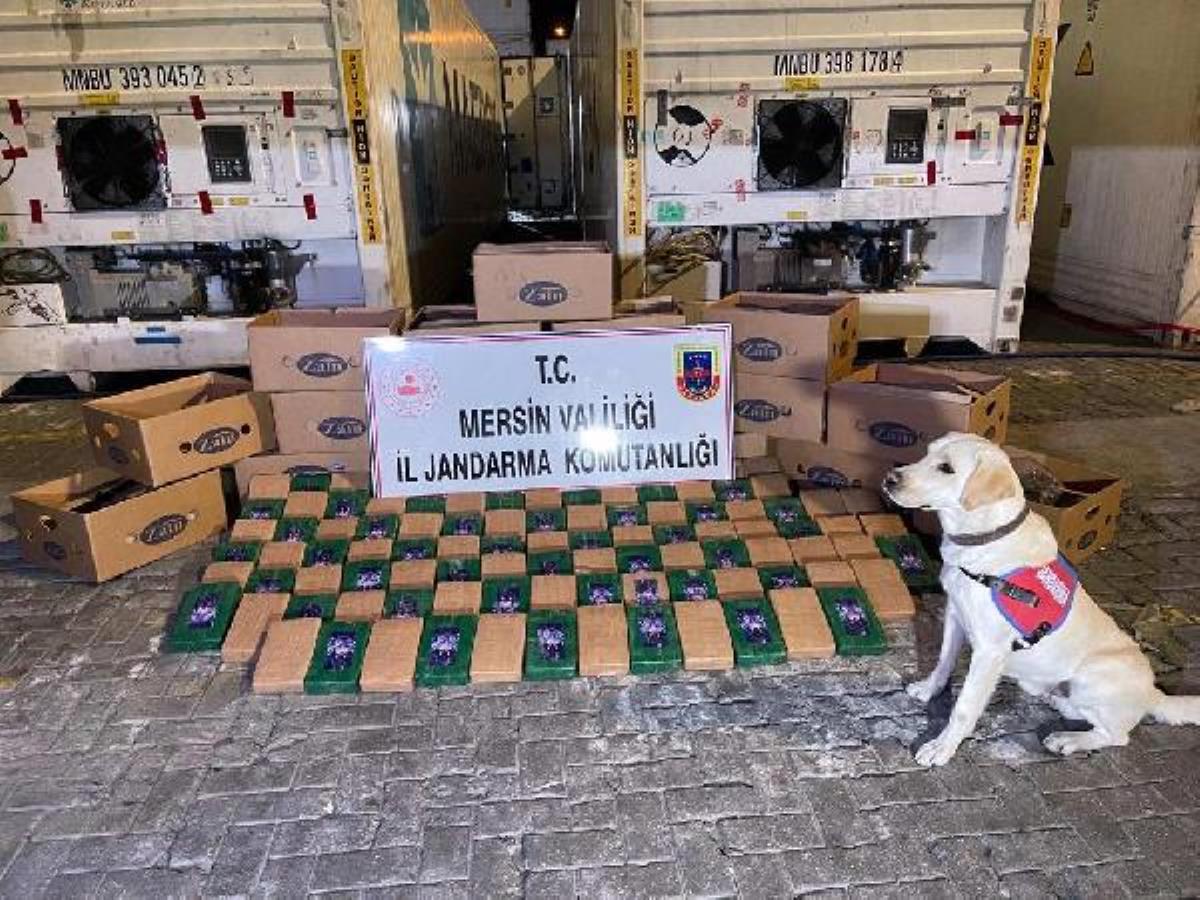 Bakan Soylu: Mersin Limanı'nda 258 kilo kokain ele geçirildi Bakan Soylu: Mersin Limanı'nda 258 kilo kokain ele geçirildi