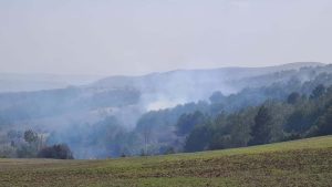Banaz'da çıkan orman yangınında 4 hektar alan ziyan gördü