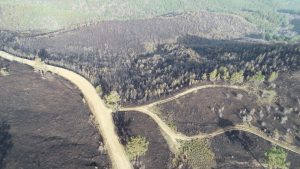Çanakkale'deki orman yangını 18 saatte denetim altına alındı