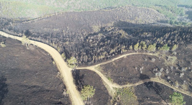 Çanakkale'deki orman yangını 18 saatte denetim altına alındı