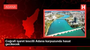 Coğrafik işaret tescilli Adana karpuzunda hasat gecikecek