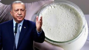 Cumhurbaşkanı Erdoğan'ın tavsiye ettiği manda yoğurdu üretiminde Tokat ön sıralarda yer alıyor
