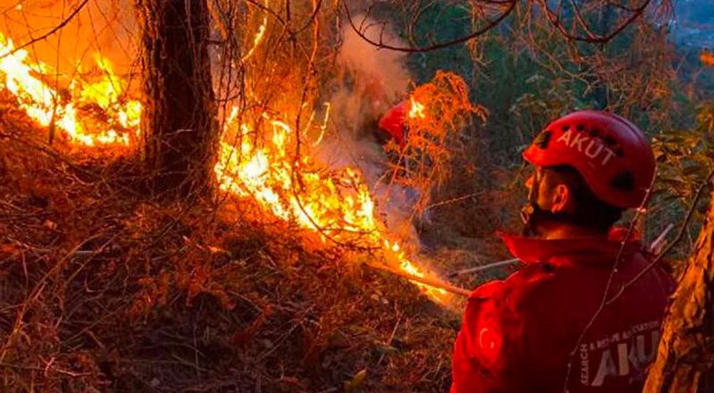 Orman Genel Müdürlüğü’nden Doğu Karadeniz uyarısı:  Şiddetli lodos orman yangın riskini artırıyor