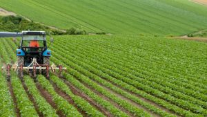 Rekabet Kurumundan tarım bölümünde üreticilerin güçlendirilmesi için 'AB tecrübesinden yararlanılsın' önerisi