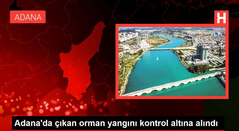 Adana'da çıkan orman yangını denetim altına alındı