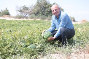 Adana'da ekim alanı azalan karpuzun hasadına sayılı günler kaldı