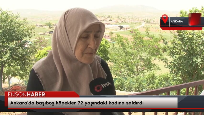 Ankara'da başıboş köpekler 72 yaşındaki kadına saldırdı Ankara'da başıboş köpekler 72 yaşındaki kadına saldırdı