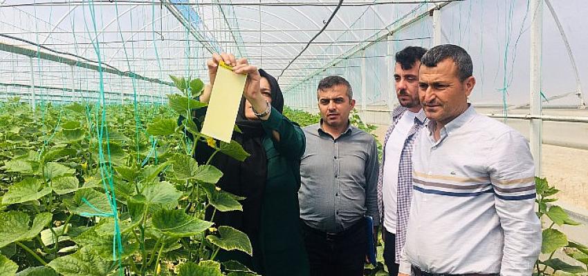 Antalya Büyükşehir Belediyesi seracıların yanında