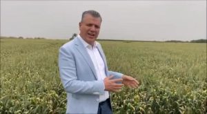 Ayhan Barut: Buğday Taban Fiyatını Çabucak Açıklayın