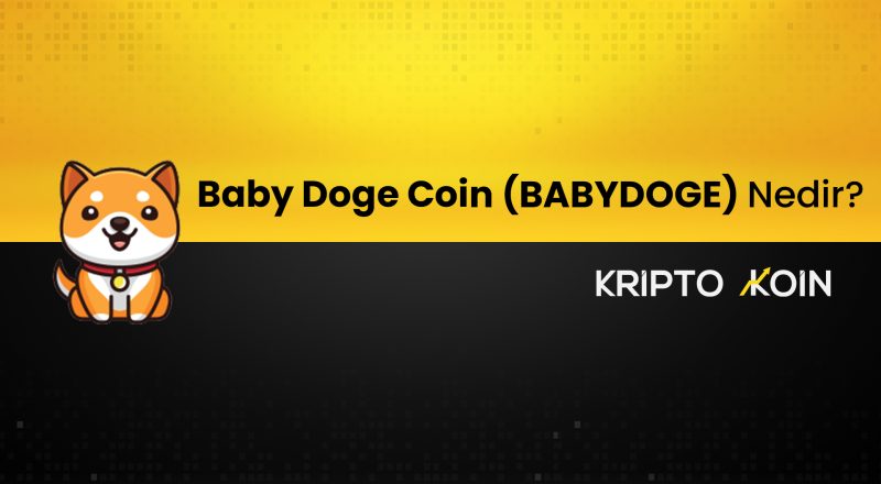 Baby Doge Coin Nedir? BABYDOGE Nasıl Alınır?