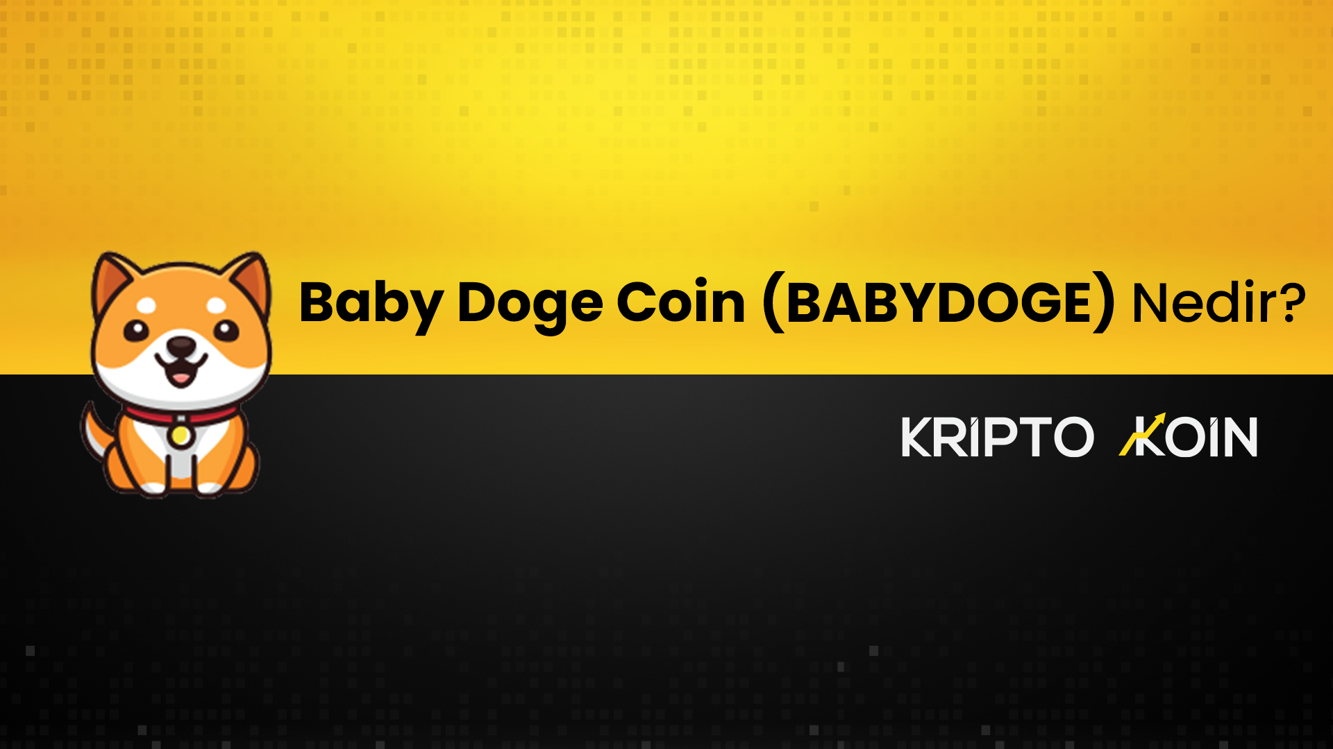 Baby Doge Coin Nedir? BABYDOGE Nasıl Alınır? Baby Doge Coin Nedir? BABYDOGE Nasıl Alınır?
